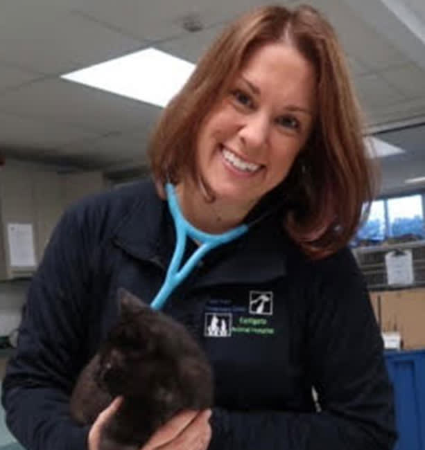 Dr. Gretchen Goode, Cincinnati Veterinarian